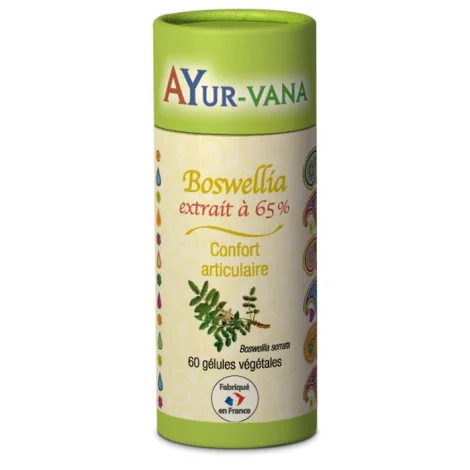 Boswellia extrait à 65% 60 gélules Ayur Vana