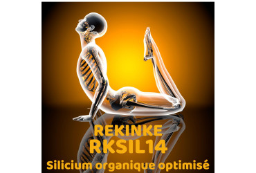 La révolution REKINKE. Le silicium Monométhylsilanétriol RKSIL14
